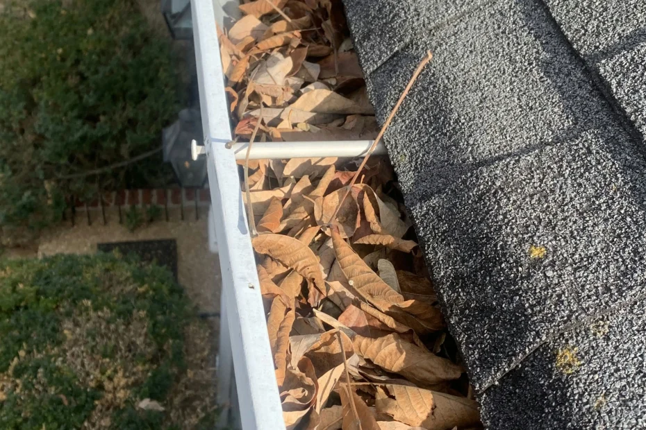 Gutter Cleaning Paragould AR